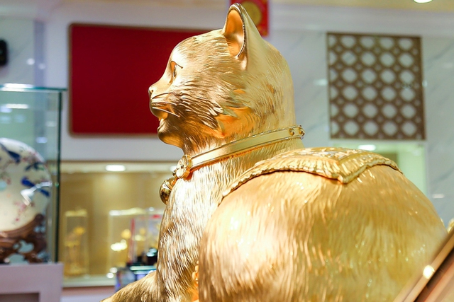 Cận cảnh tượng mèo bằng vàng 9999 khổng lồ nặng 48 kg - Ảnh 6.