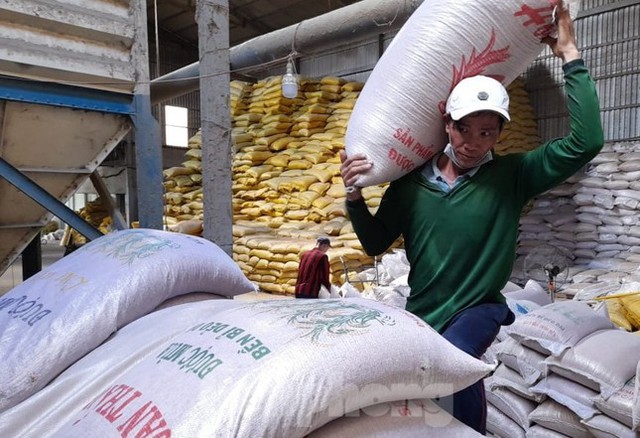 Vì sao xuất khẩu gạo giảm, giá lúa tăng vù vù? - Ảnh 2.