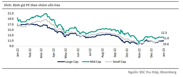 BSC: Thời điểm vàng để tích lũy cổ phiếu đã đến, nhóm cổ phiếu lớn sẽ là tâm điểm của thị trường - Ảnh 3.