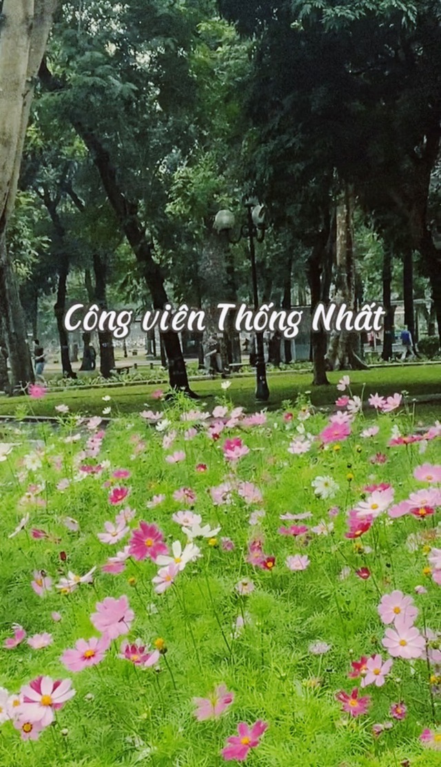 Thong Nhat Park changed its appearance, Ha Thanh young people flocked to each other to take pictures - Photo 6.