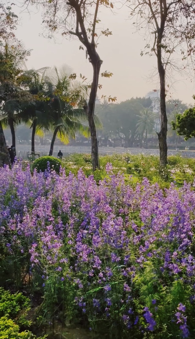 Thong Nhat Park changed its appearance, Ha Thanh youth flocked to each other to take pictures - Photo 4.