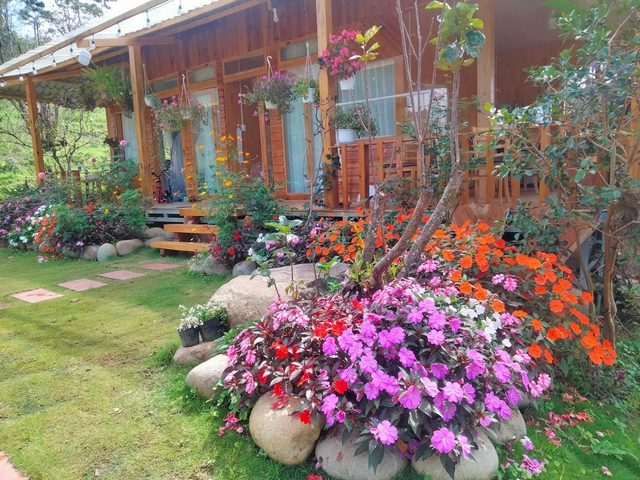 The 40m² wooden house is as beautiful as a fairy among flowers and clouds in Lam Dong - Photo 4.