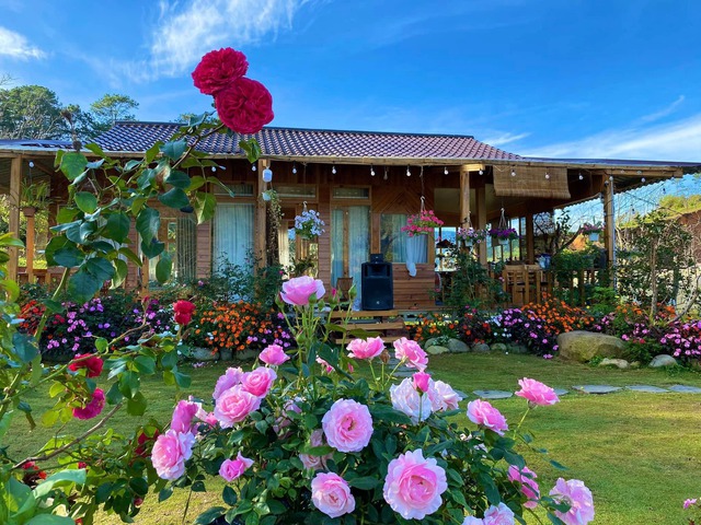 The 40m² wooden house is as beautiful as a fairy among flowers and clouds in Lam Dong - Photo 3.