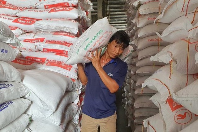 Lý do doanh nghiệp Việt khó đăng ký xuất khẩu gạo sang Trung Quốc - Ảnh 1.