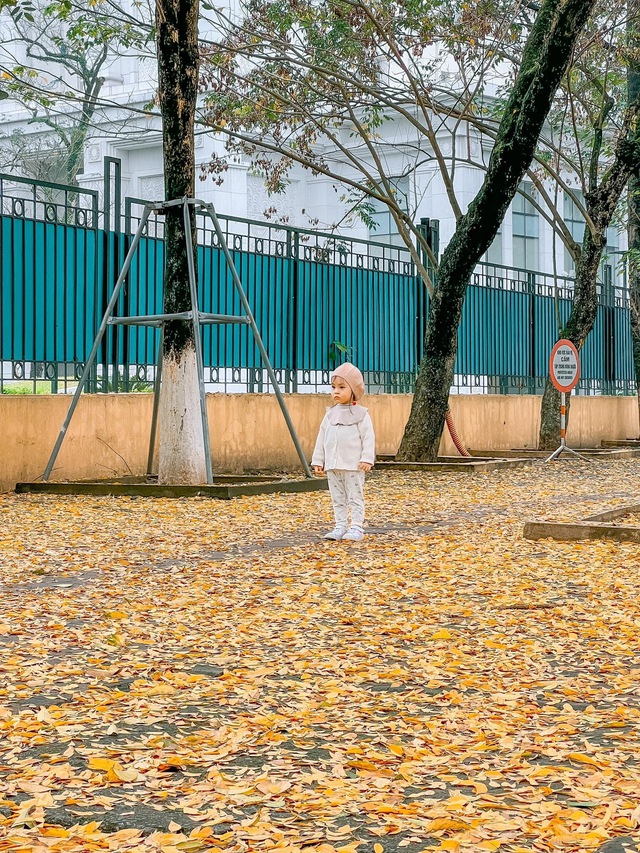 At the beginning of spring, there was a place in Hanoi where the yellow leaves fell beautifully, causing people to rush to check-in - Photo 13.