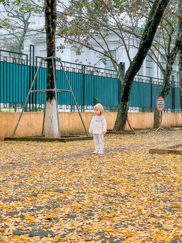 Mới đầu mùa xuân mà ở Hà Nội đã có nơi lá vàng rơi đẹp đến nao lòng, khiến dân tình chạy vội đi check-in - Ảnh 13.