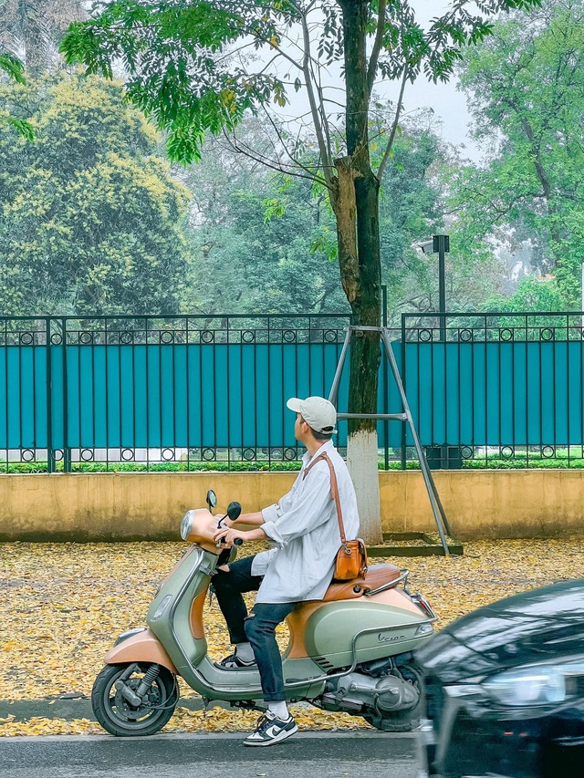 At the beginning of spring, there was a place in Hanoi where the yellow leaves fell beautifully, causing people to rush to check-in - Photo 3.