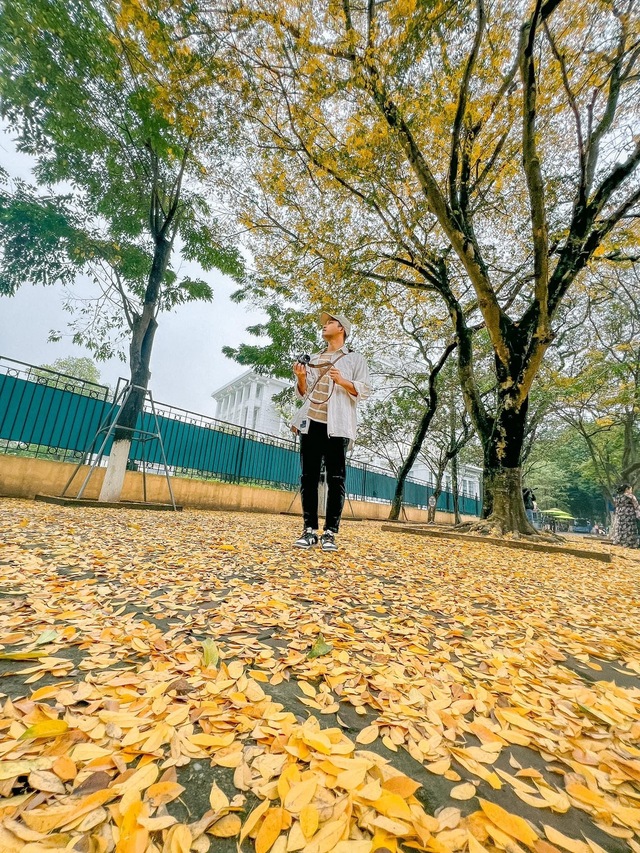 At the beginning of spring, in Hanoi, there was a place where the yellow leaves fell beautifully, making people rush to check-in - Photo 12.