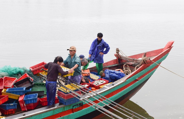 Ngư dân trúng đậm hơn 10 tấn cá đù, thu về hàng trăm triệu đồng - Ảnh 5.