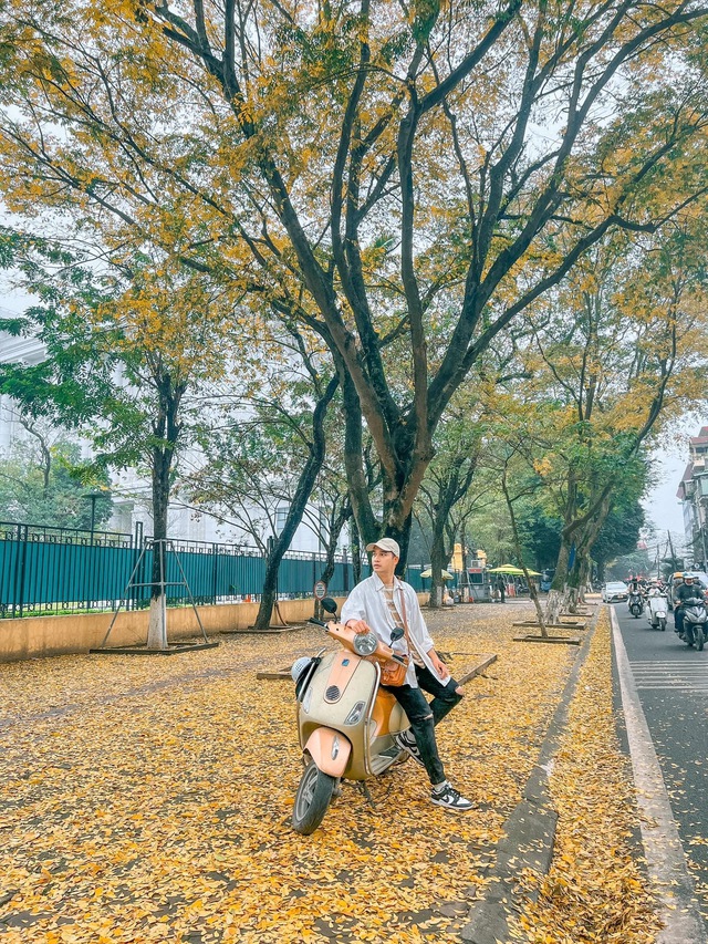 At the beginning of spring, there was a place in Hanoi where the yellow leaves fell beautifully, causing people to rush to check-in - Photo 6.