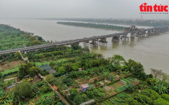 Ảnh minh họa: Trung Nguyên/Báo Tin tức