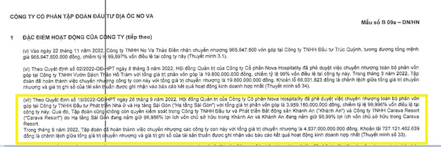 Nợ hơn 64.000 tỷ đồng, các chủ nợ của Novaland là ai? - Ảnh 2.