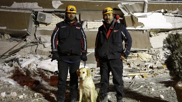 Chú chó cứu hộ ở Thổ Nhĩ Kỳ: Bị thương vẫn miệt mài tìm kiếm nạn nhân động đất - Ảnh 7.