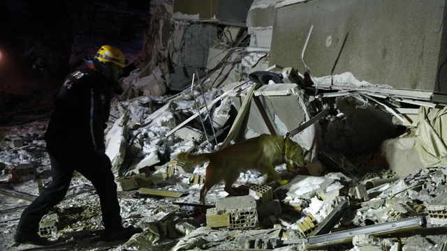 Chú chó cứu hộ ở Thổ Nhĩ Kỳ: Bị thương vẫn miệt mài tìm kiếm nạn nhân động đất - Ảnh 5.