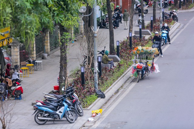 Cận cảnh hàng ghế đá dưới cây hoa sữa cổ thụ trên đường đẹp nhất Hà Nội - Ảnh 3.