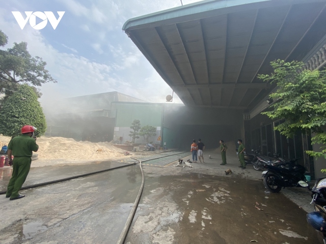 Cháy lớn tại kho chứa nguyên liệu chế biến thức ăn chăn nuôi ở Tiền Giang - Ảnh 2.