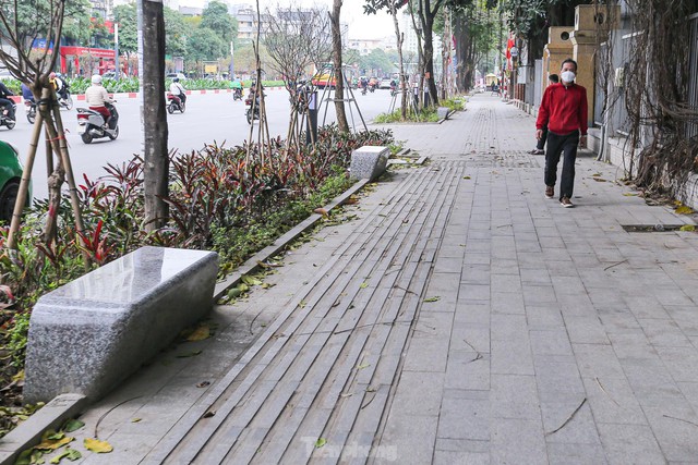 Cận cảnh hàng ghế đá dưới cây hoa sữa cổ thụ trên đường đẹp nhất Hà Nội - Ảnh 13.