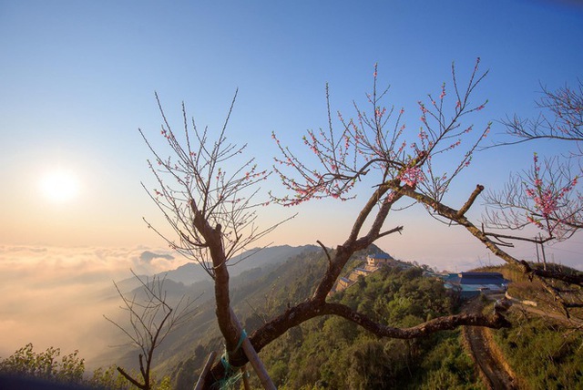 Ta Xua is surprisingly beautiful in the colorful peach blossom season among the sea of ​​​​clouds, the virtual life enthusiasts are excited to go on a photo hunt - Photo 9.