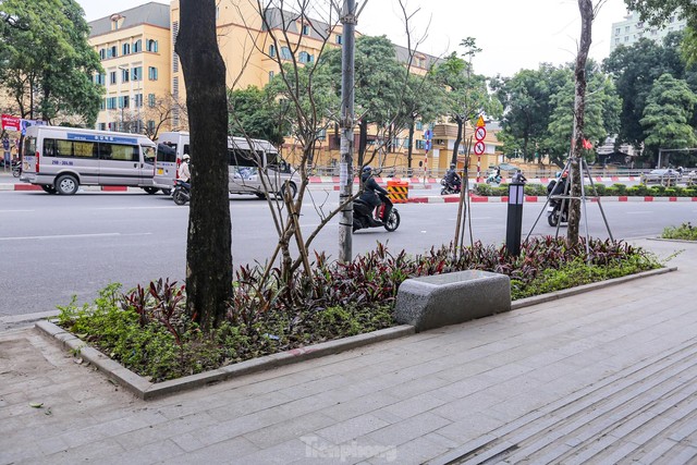 Cận cảnh hàng ghế đá dưới cây hoa sữa cổ thụ trên đường đẹp nhất Hà Nội - Ảnh 12.