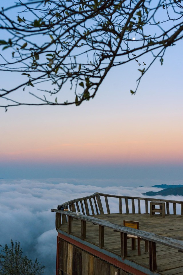 Ta Xua is surprisingly beautiful in the colorful peach blossom season among the sea of ​​​​clouds, the virtual life enthusiasts are excited to go on a photo hunt - Photo 25.