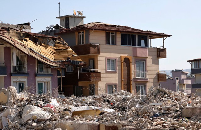 Những căn hộ ‘chống động đất’ đổ sập như domino trong thảm hoạ thế kỷ ở Thổ Nhĩ Kỳ - Ảnh 3.