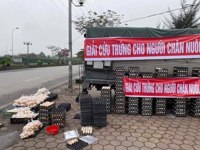Nghịch lý: Mặt hàng chứng kiến khủng hoảng tại Mỹ, người dân không có để mua lại đang được bày bán giải cứu tràn lan tại Việt Nam, giá rẻ bất ngờ - Ảnh 2.