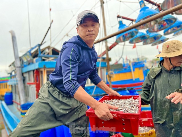 Một đêm ra khơi ngư dân Quảng Ngãi sắm được... 1 chỉ vàng - Ảnh 16.