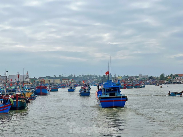 Một đêm ra khơi ngư dân Quảng Ngãi sắm được... 1 chỉ vàng - Ảnh 27.