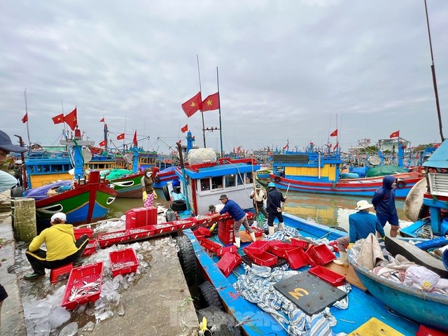 Một đêm ra khơi ngư dân Quảng Ngãi sắm được... 1 chỉ vàng - Ảnh 2.