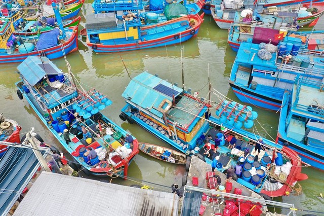 Một đêm ra khơi ngư dân Quảng Ngãi sắm được... 1 chỉ vàng - Ảnh 1.