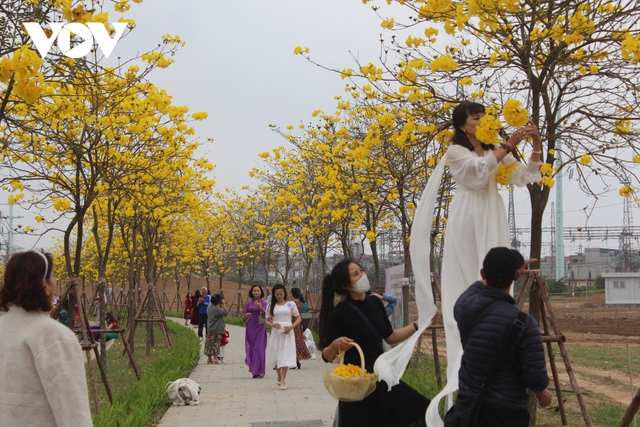 Ngẩn ngơ trước vẻ đẹp của mùa hoa tháng 2 ở Hà Nội - Ảnh 17.