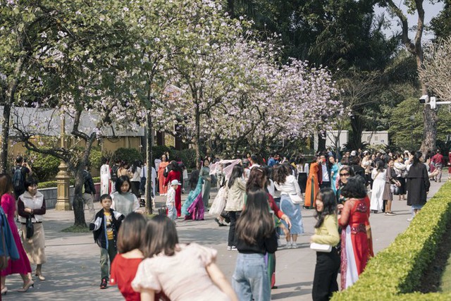  Đông nghịt người kéo đến con đường hoa ban tím ở Hà Nội trong ngày cuối tuần, đúng là trời nắng đẹp có khác! - Ảnh 3.