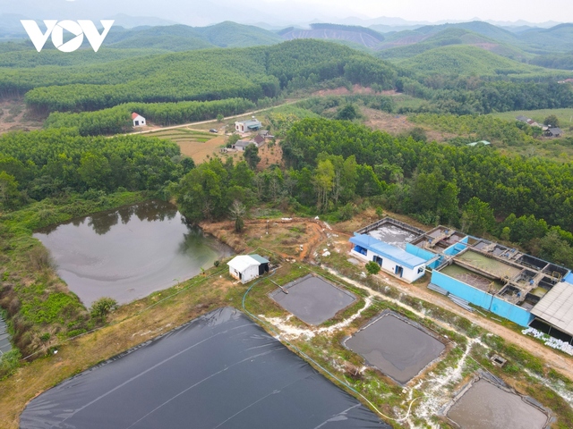 Cận cảnh Dự án chăn nuôi ở Sơn Động để vỡ đường ống nước thải gây ô nhiễm môi trường - Ảnh 5.