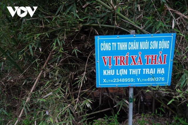 Cận cảnh Dự án chăn nuôi ở Sơn Động để vỡ đường ống nước thải gây ô nhiễm môi trường - Ảnh 1.