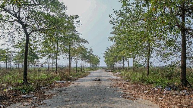 [Photo Essay] Sắp lên thành phố phía Bắc Hà Nội, khu vực Làng biệt thự Mê Linh hiện nay ra sao? - Ảnh 9.