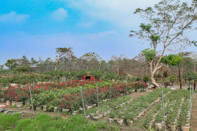 [Photo Essay] Sắp lên thành phố phía Bắc Hà Nội, khu vực Làng biệt thự Mê Linh hiện nay ra sao? - Ảnh 8.