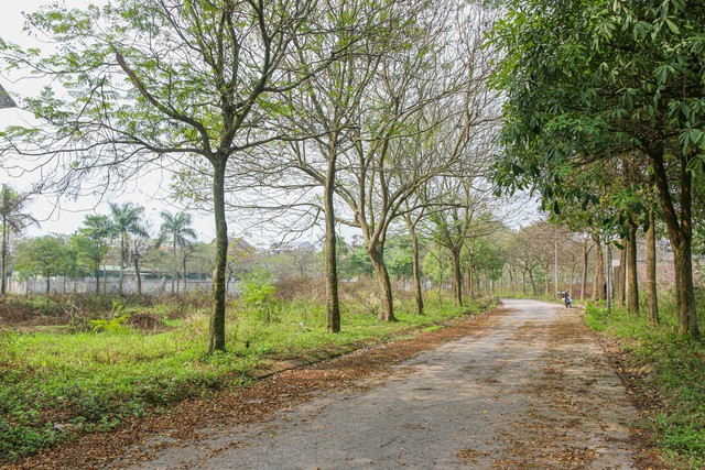 [Photo Essay] Sắp lên thành phố phía Bắc Hà Nội, khu vực Làng biệt thự Mê Linh hiện nay ra sao? - Ảnh 5.