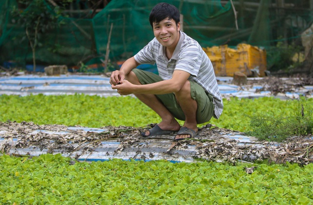 Thất nghiệp, hướng dẫn viên du lịch về quê nuôi ốc kiếm hơn 30 triệu đồng/tháng, sở hữu trại ốc lớn nhất Quảng Nam - Ảnh 12.