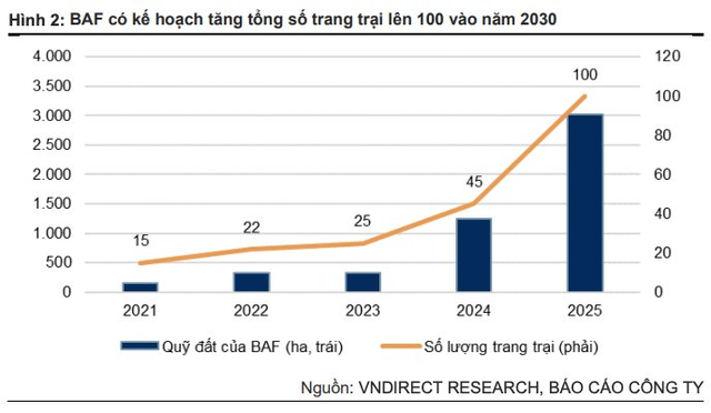 Suýt lỗ trong quý 4/2022, đại gia Trương Sỹ Bán vẫn “chơi lớn” với Heo ăn chay: 2023 tăng tổng đàn thêm 65,5%, tăng gấp đôi số cửa hàng Meat Shop - Ảnh 2.