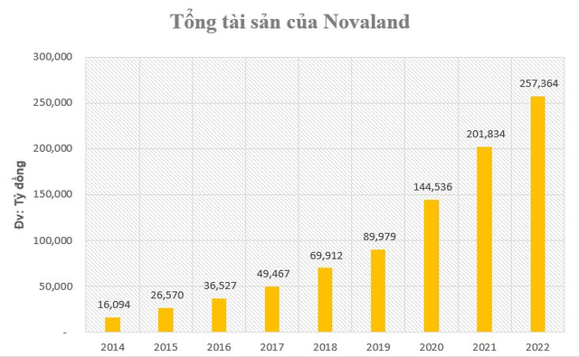 Nhìn lại hành trình ông Bùi Thành Nhơn đưa Novaland trở thành doanh nghiệp BĐS lớn bậc nhất Việt Nam - Ảnh 1.