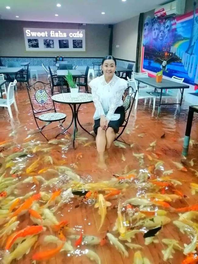 Quán cà phê ở Thái Lan bơm ngập nước để khách hàng có thể tự do ngâm chân với cá Koi - Ảnh 4.