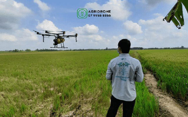 Công ty Việt dùng 3.000 máy bay không người lái phun thuốc trừ sâu cho đồng lúa, vườn sầu riêng: Chỉ 8.000-10.000 đồng/lít, tăng trưởng 100%/năm - Ảnh 2.