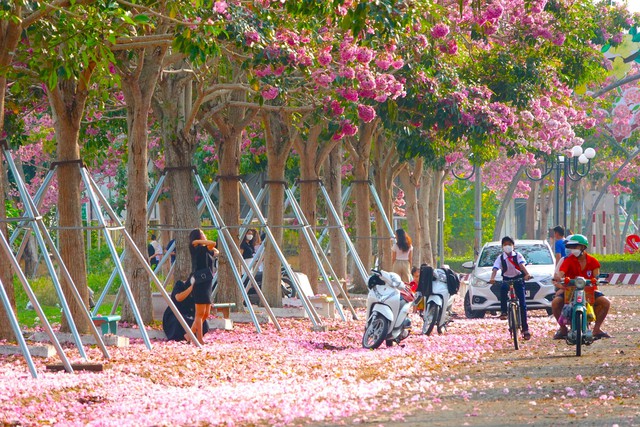 Over 70 km to check in the beautiful pink road like Korean movies in the West - Photo 8.