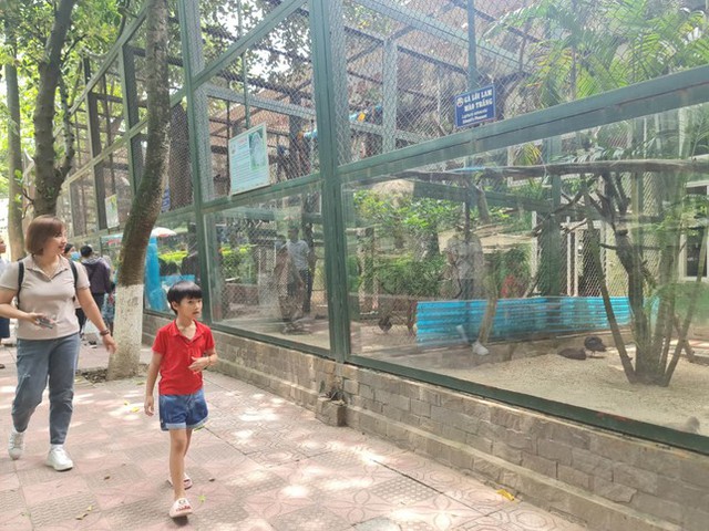 Hà Nội nghiên cứu mở rào một phần công viên Thủ Lệ - Ảnh 1.