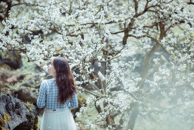 Mộc Châu trở thành điểm siêu hot dịp đầu xuân với những cây hoa mận phủ trắng núi đồi - Ảnh 21.