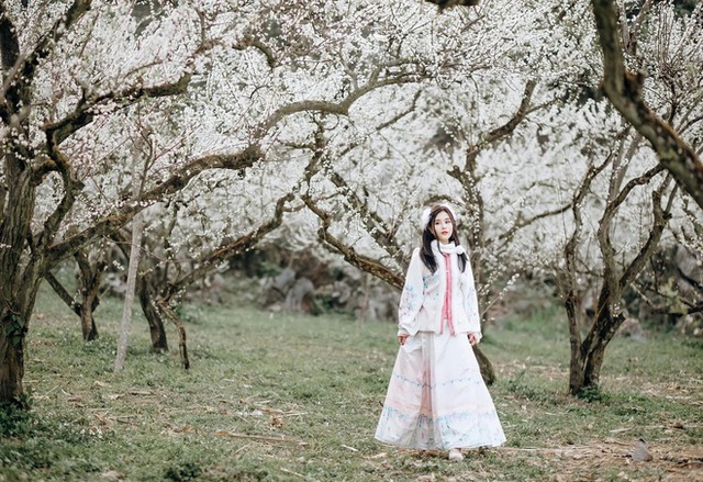 Mộc Châu trở thành điểm siêu hot dịp đầu xuân với những cây hoa mận phủ trắng núi đồi - Ảnh 16.