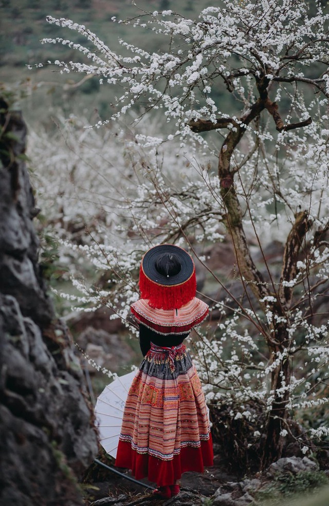 Mộc Châu trở thành điểm siêu hot dịp đầu xuân với những cây hoa mận phủ trắng núi đồi - Ảnh 14.