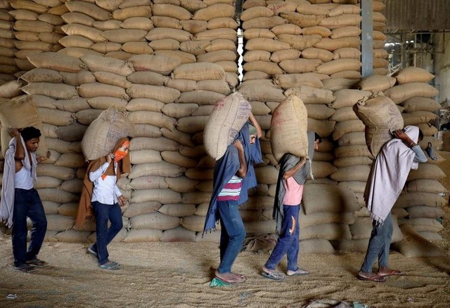 Quốc gia xuất khẩu top 2 thế giới tiếp tục kéo dài lệnh cấm xuất khẩu lúa mì - Ảnh 1.
