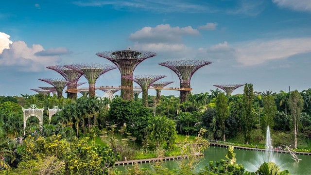 Giải mã viện nghiên cứu của Singapore: Nơi lai tạo giống hoa lan được đặt tên theo Thủ tướng Phạm Minh Chính và Phu nhân - Ảnh 2.