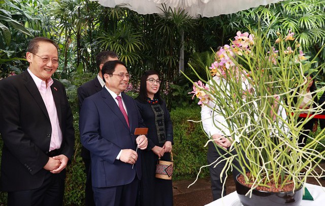 Lễ định danh hoa lan theo tên Thủ tướng Phạm Minh Chính và Phu nhân ở Singapore - Ảnh 6.